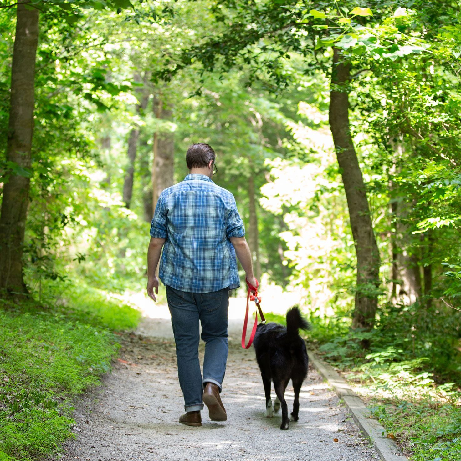 Back of man walking a dog on the Noland Trail.