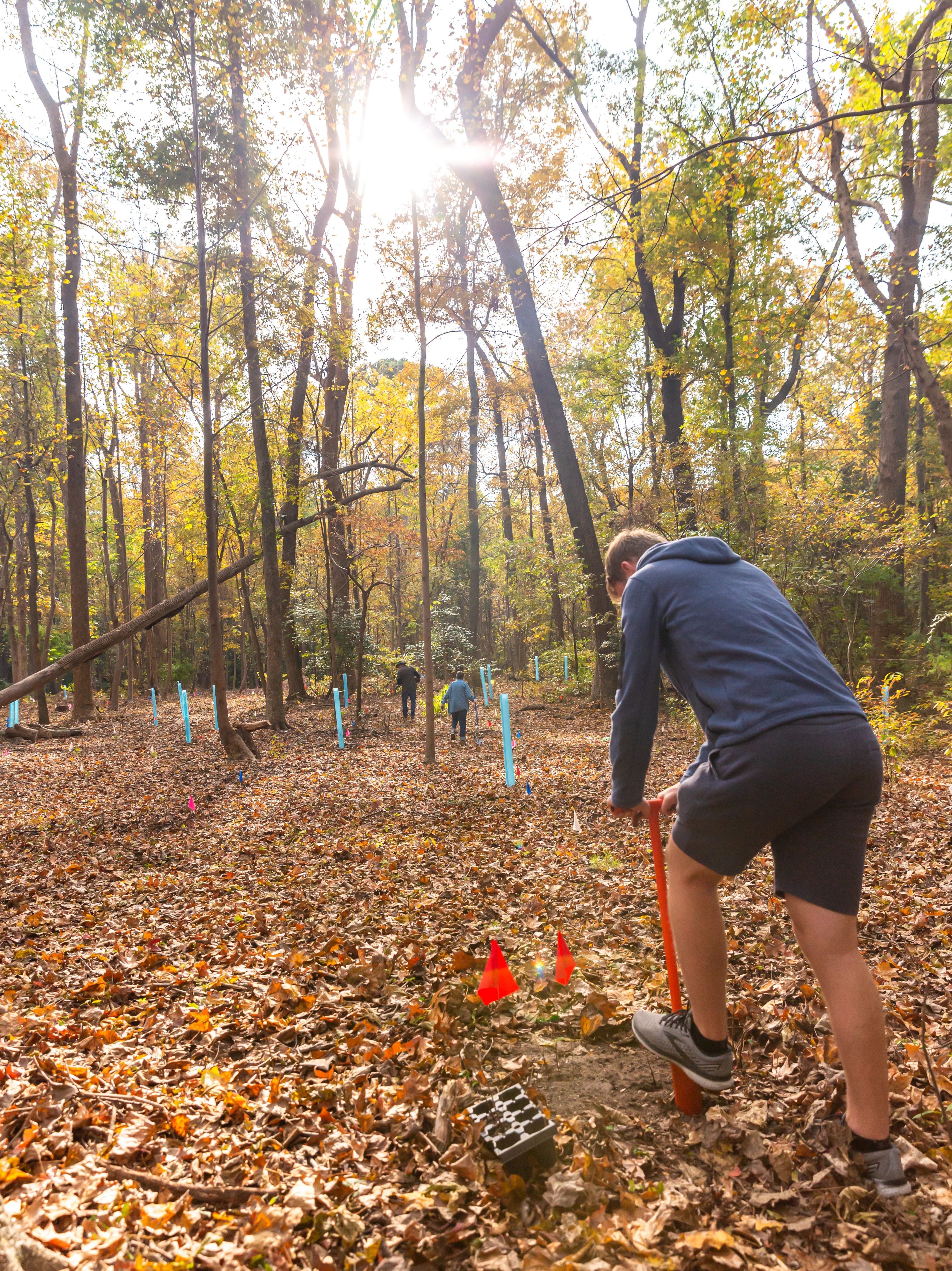 man planting tree