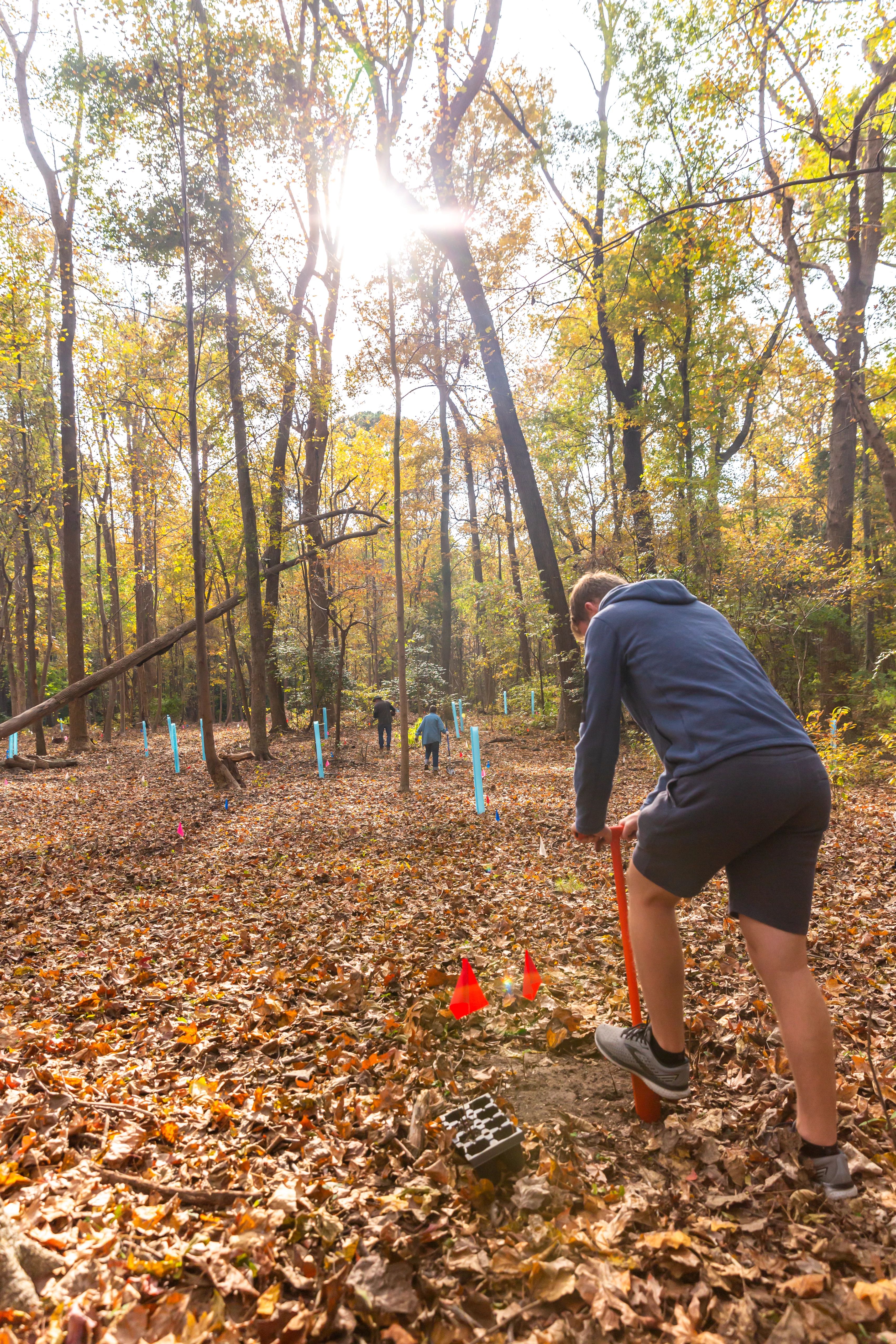 man planting tree