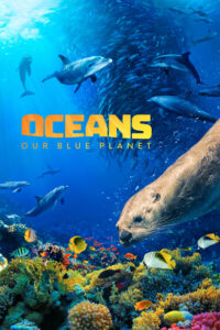 Oceans 2D Poster