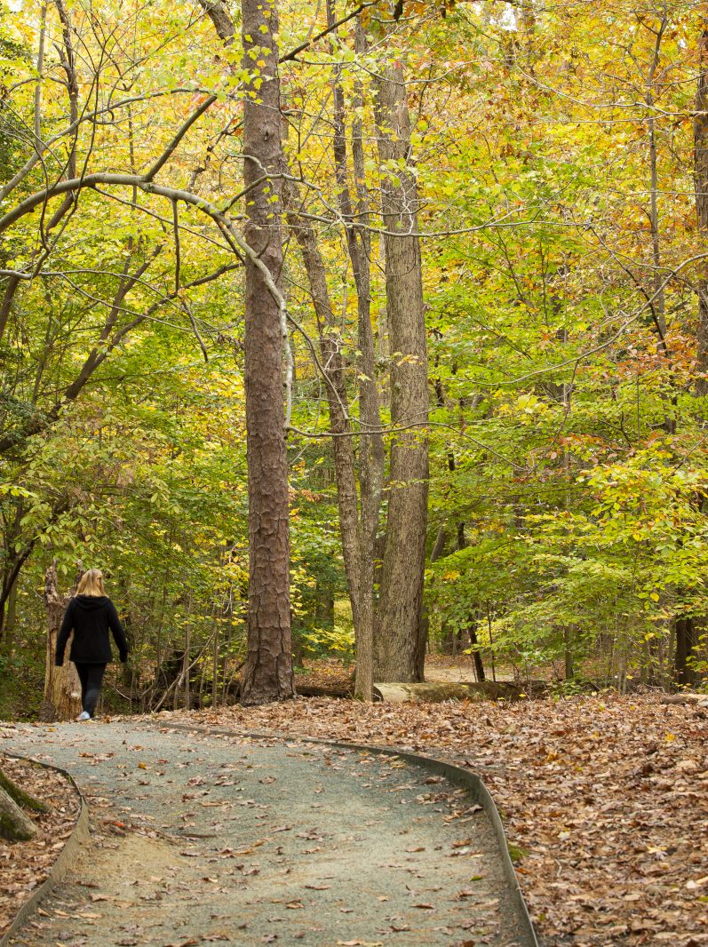 Back of a woman walking on the Noland Trail. 