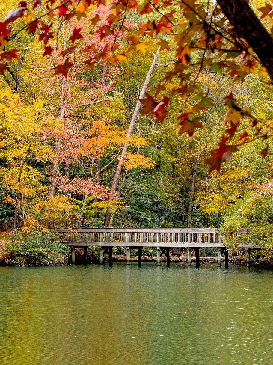 Noland Trail footbridge over part of Mariners' Lake. 