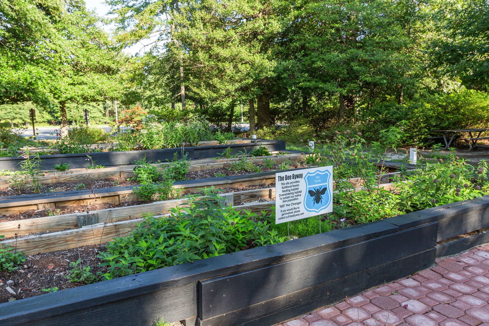 Bumblebee Learning Garden in Mariners' Park. 