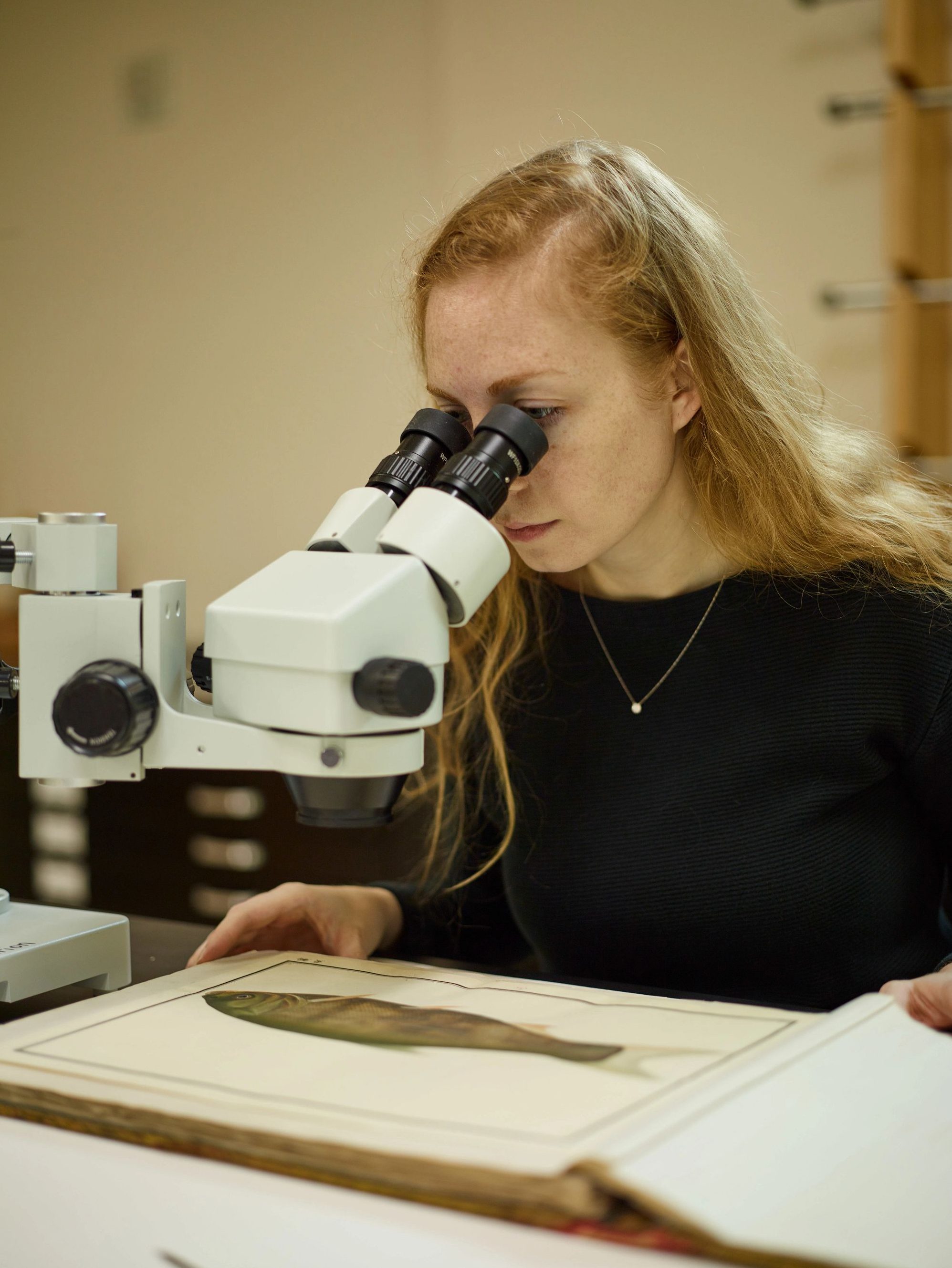 Paper Conservator Emilie Duncan examining a book through a microscope.