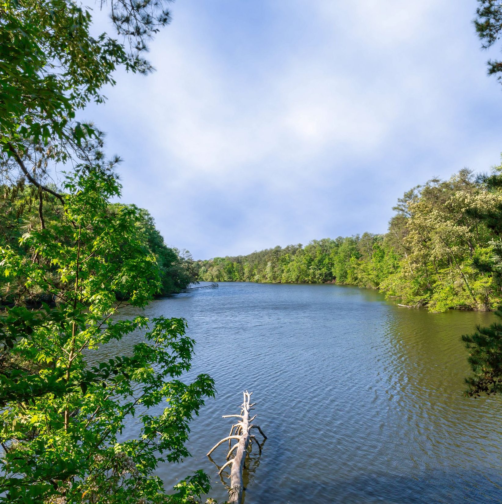 Mariners' Lake