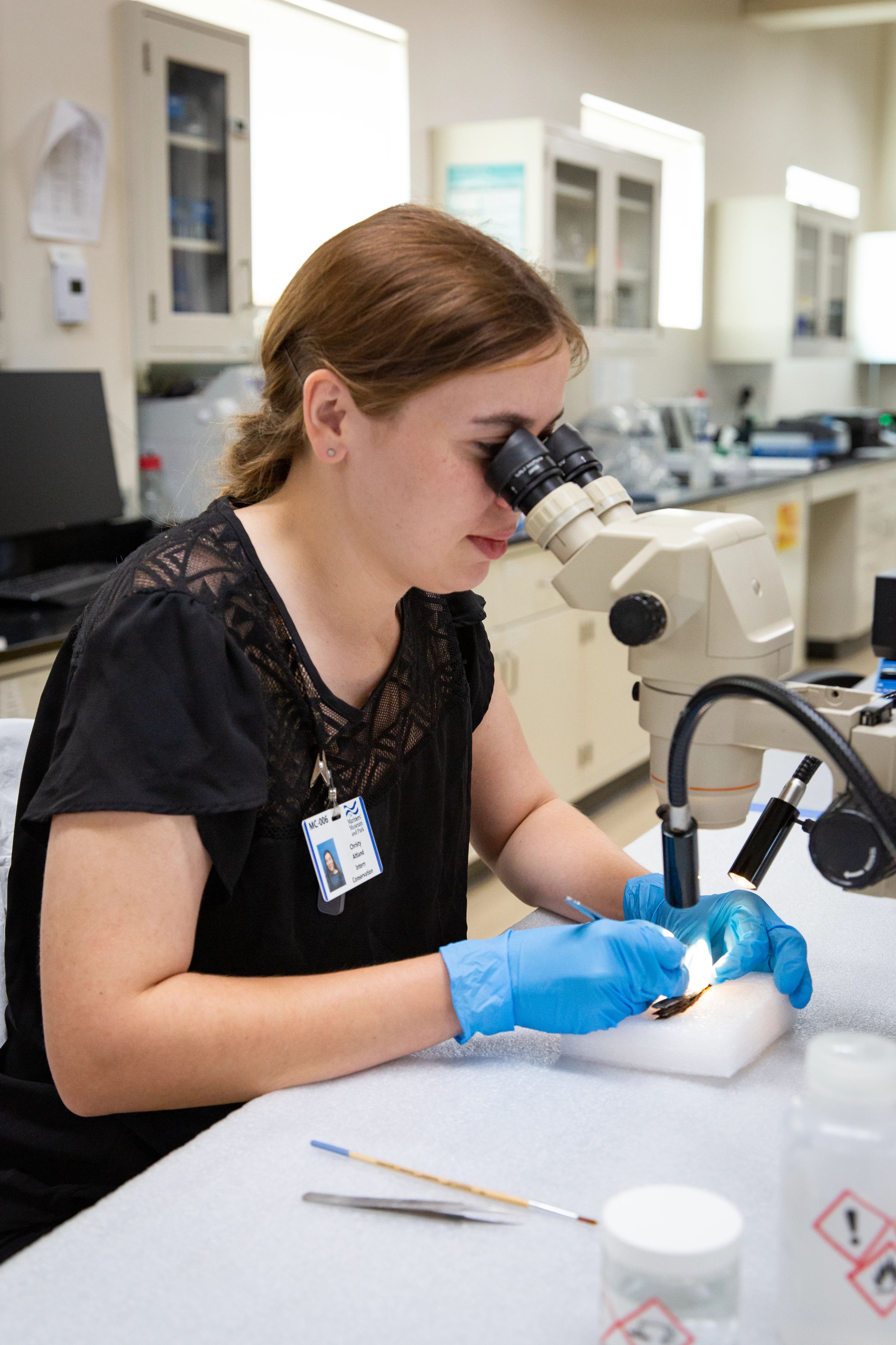 Conservation intern working in the Clean Lab looking at an object through a microscope.
