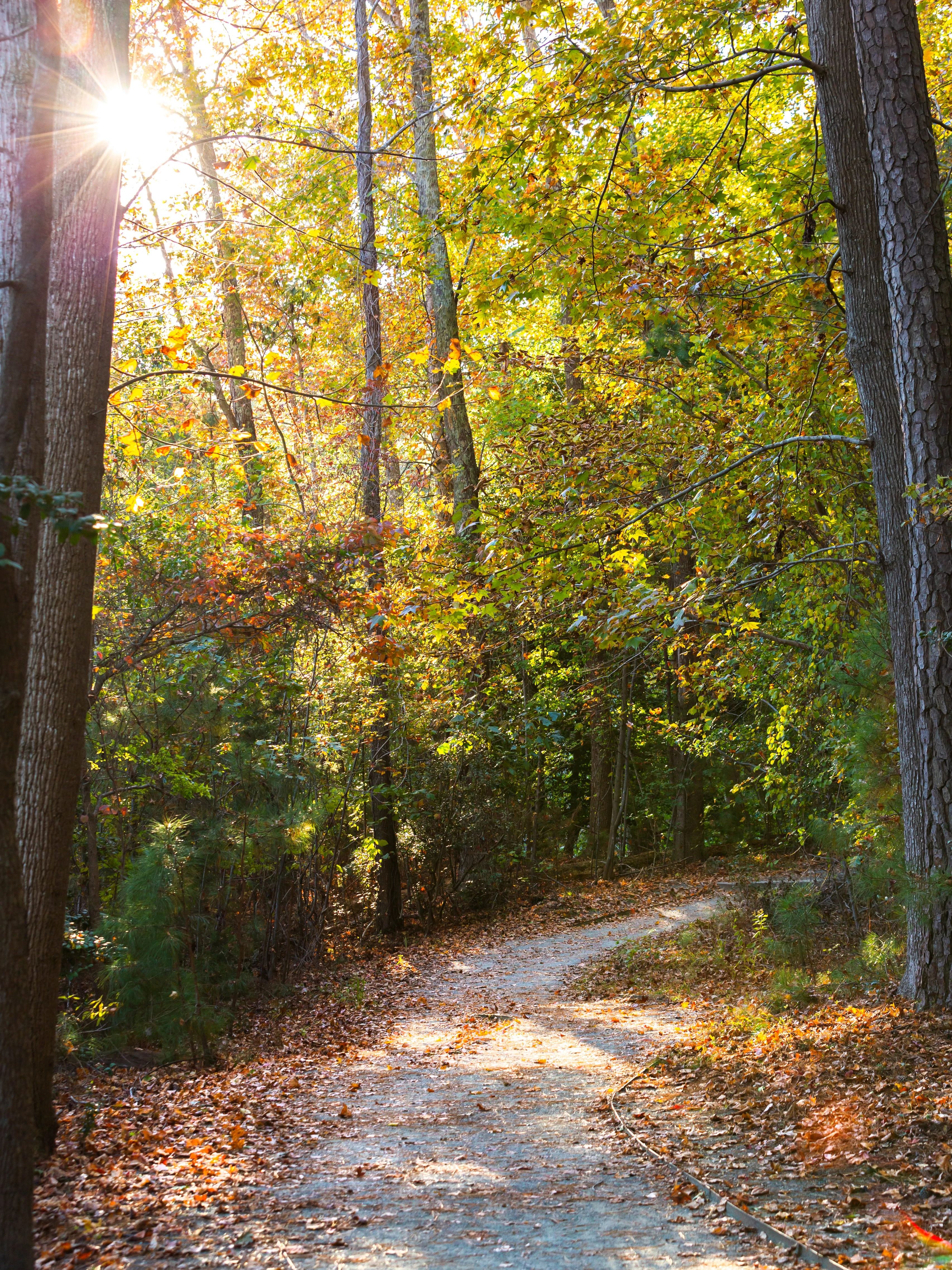 Pretty autumn views on the Noland Trail.