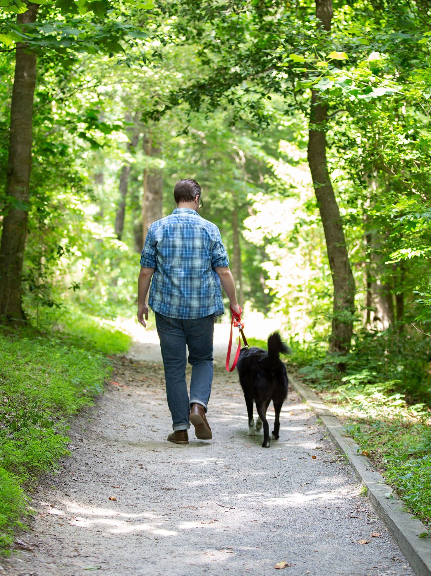 Back of man walking a dog on the trail.