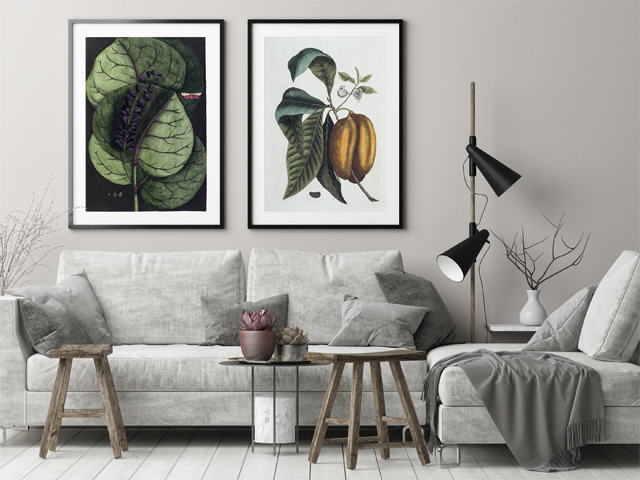 couch with two paintings above it
