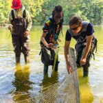 High school students plant native Vallisneria americana (eelgrass) in Mariners’ Lake.