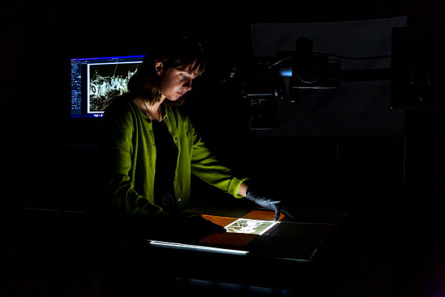 Photo Intern Emily Ransone Digitizing a Photo Negative.