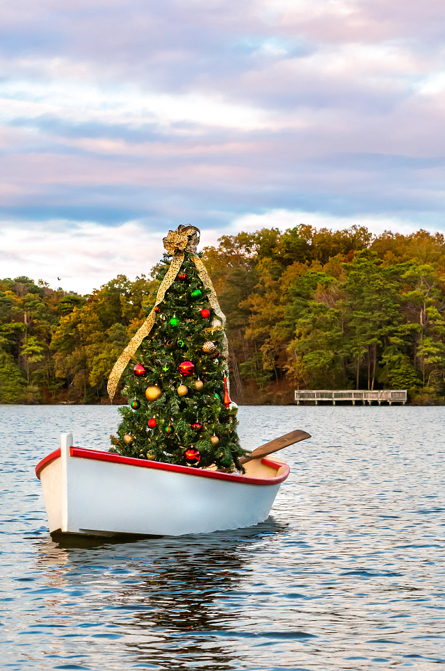 Christmas Tree on Mariners’ Lake.