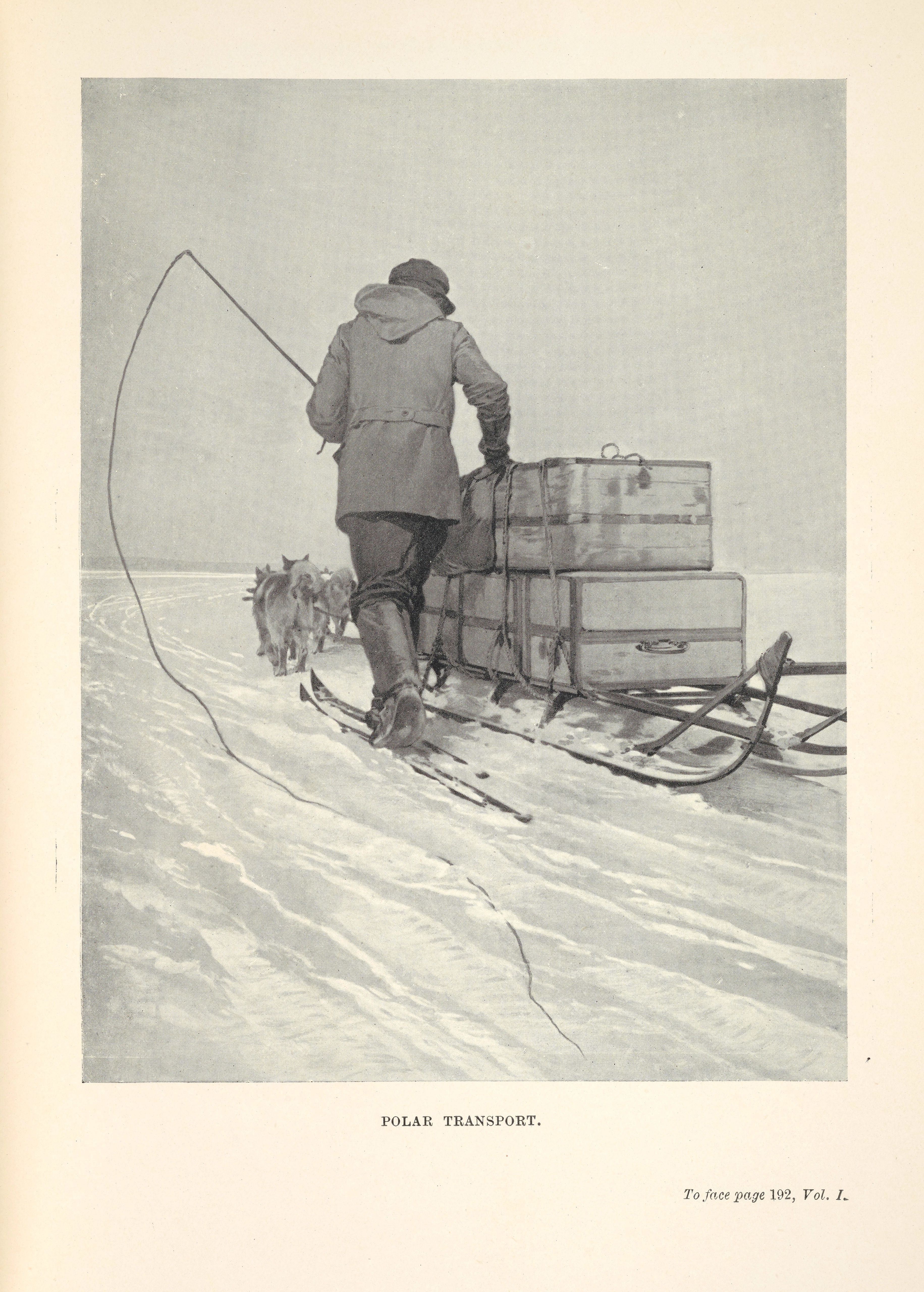 Sled dogs pulling cargo with man beside the cargo.