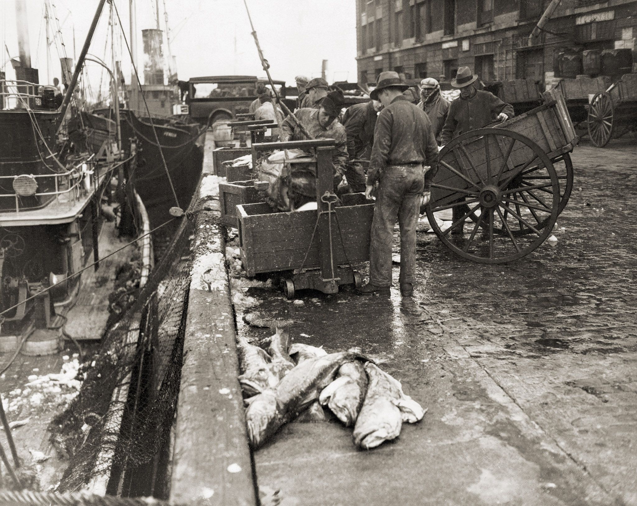 Freshly caught cod and waiting carts on the dock at Fulton Fish Market in 1931.
