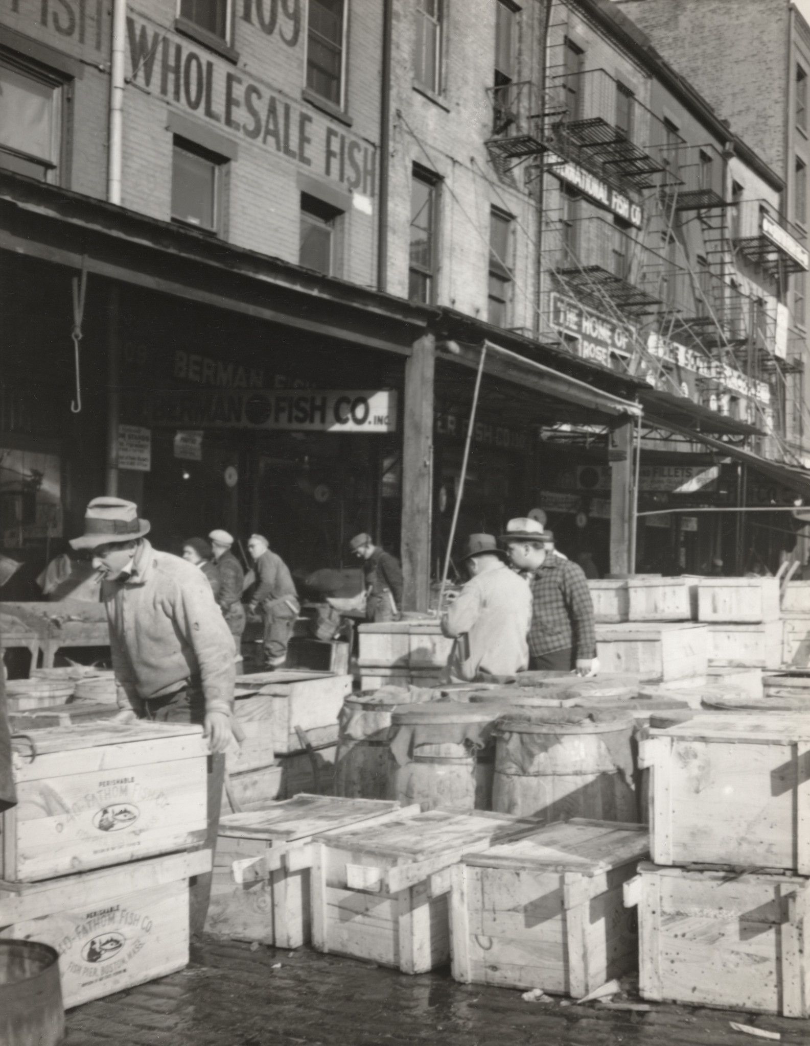 Crates upon crates of fresh fish line the market as vendors make their way to their stations.