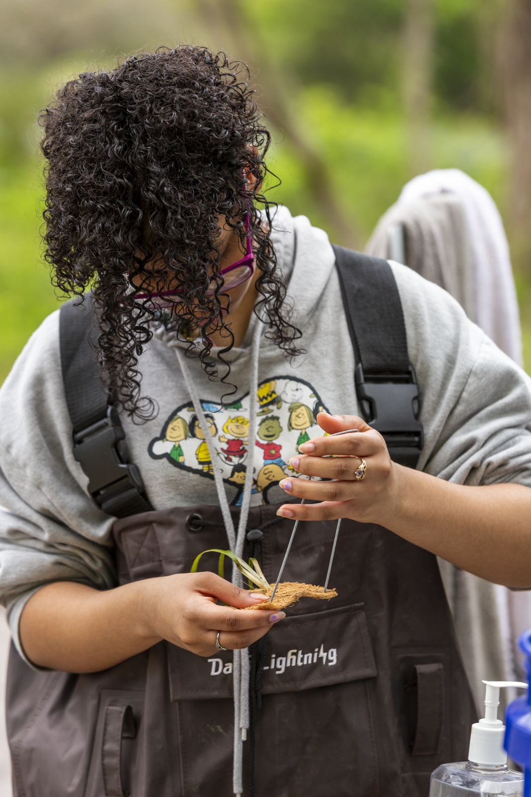 A Warwick High School student prepares aquatic eelgrass (Vallisneria americana) to be planted in Mariners’ Lake.