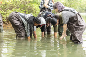 B-WET intern Rebecca Litt (right), assists Newport News Public High Schools students with planting eelgrasses in Mariners’ Lake.