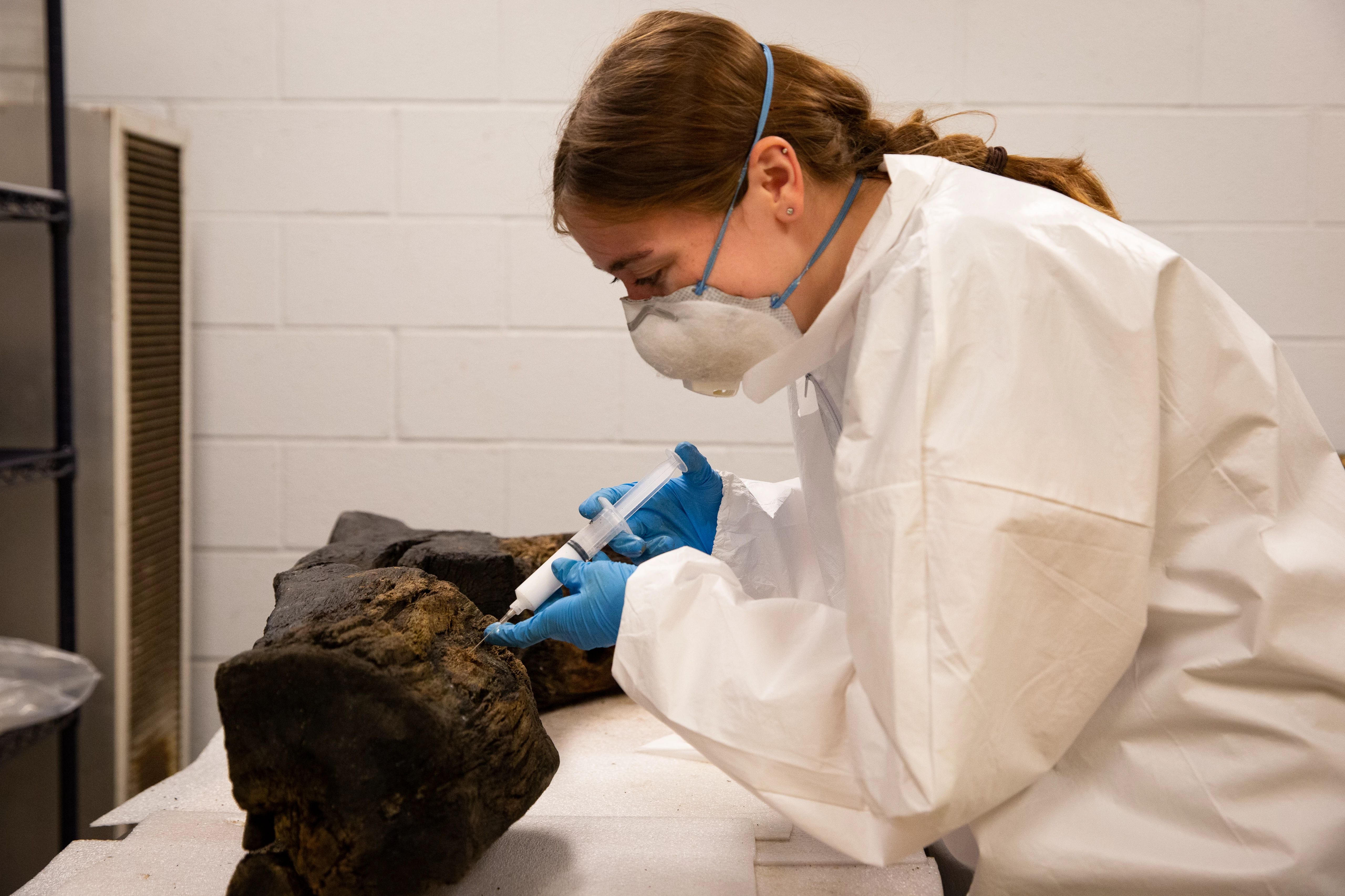 Image of conservator wearing a white lab coat, blue gloves, and face mask, carefully injecting a white substance into a large section of wood.