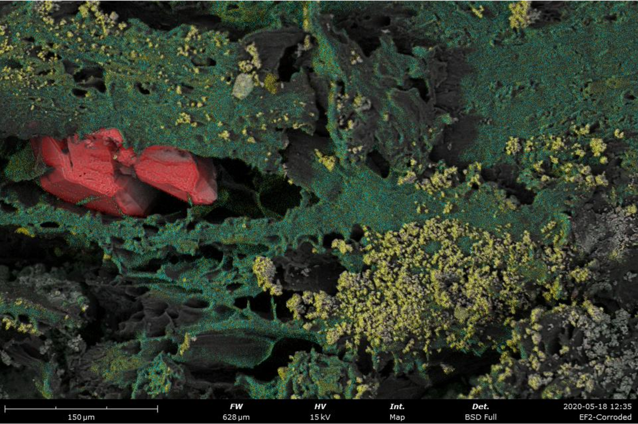 Microscopic image of wood, showing mainly texture, organic-looking green features with some small round yellow deposits on the surface and two large red crystals clustered to the side, embedded in the green features.