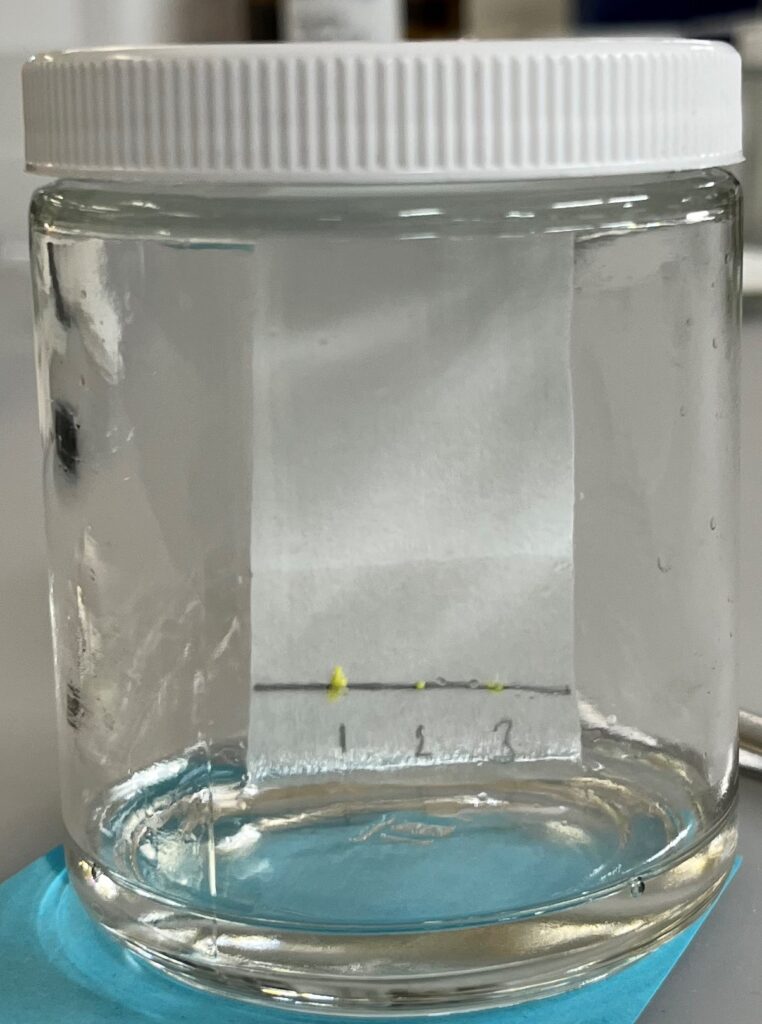 Photo of small jar with strip of paper inside and liquid at the bottom. Paper has a line toward the bottom with spots of yellow on the line and the numbers “1, 2, 3” under each spot. Liquid is soaking about ⅓ of the length of the paper, including the area with the yellow spots.