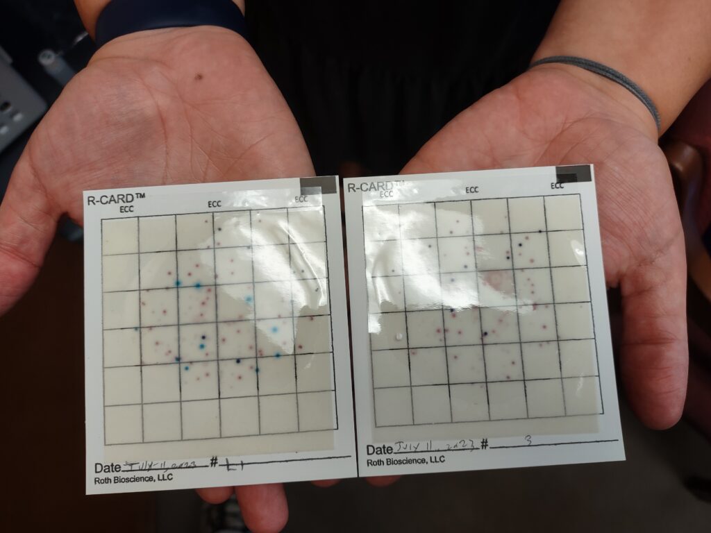 Image of two cards. Each has a black grid surrounding a number of blue, purple and pink spots.