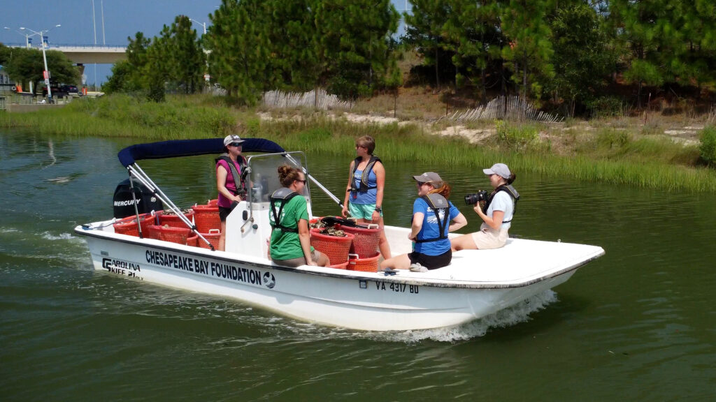 Kyra Duffley accompanies The Chesapeake Bay Foundation’s Oyster team.