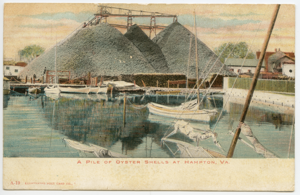 A Pile of Oyster Shells at Hampton, VA, Illustrated Postal Card Co.