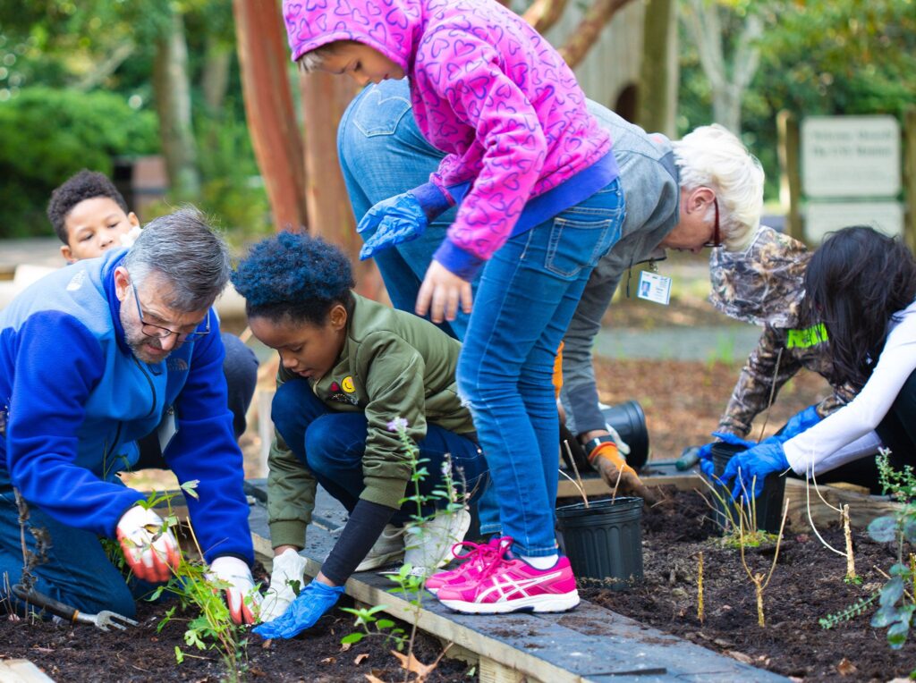 Adults and children plant flowers in a garden bed.