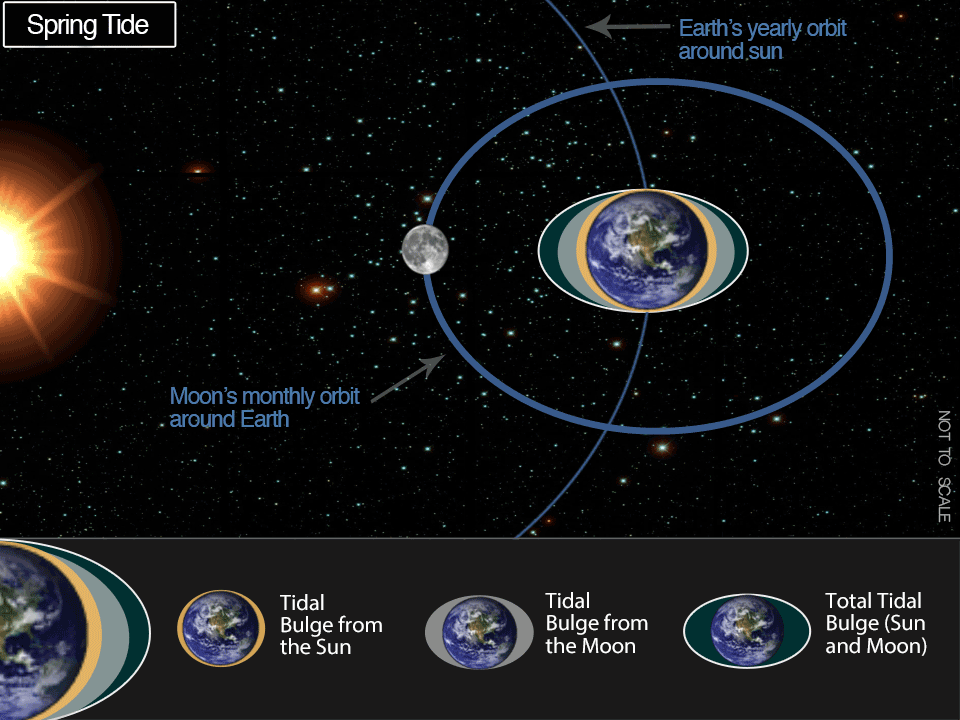 Space image with sun, stars, moon, and Earth. The moon is orbiting around Earth.