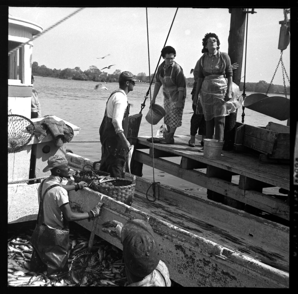 A group of people sand by the water with baskets and buckets. Two people are surrounded by fish.