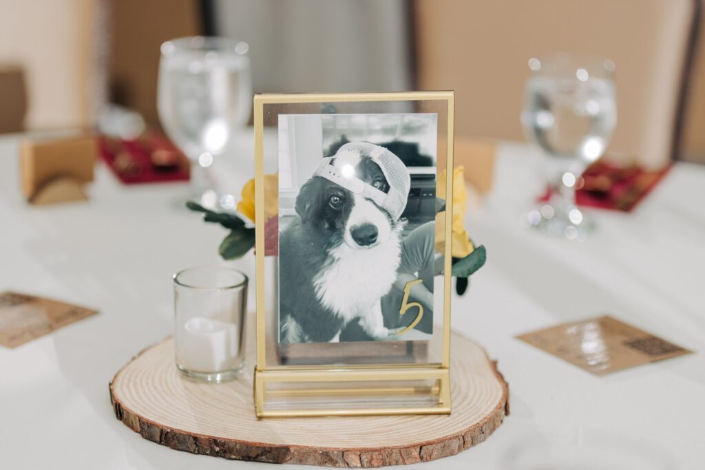 Wedding guest table with a photo of the bride and groom's dog as the table number.
