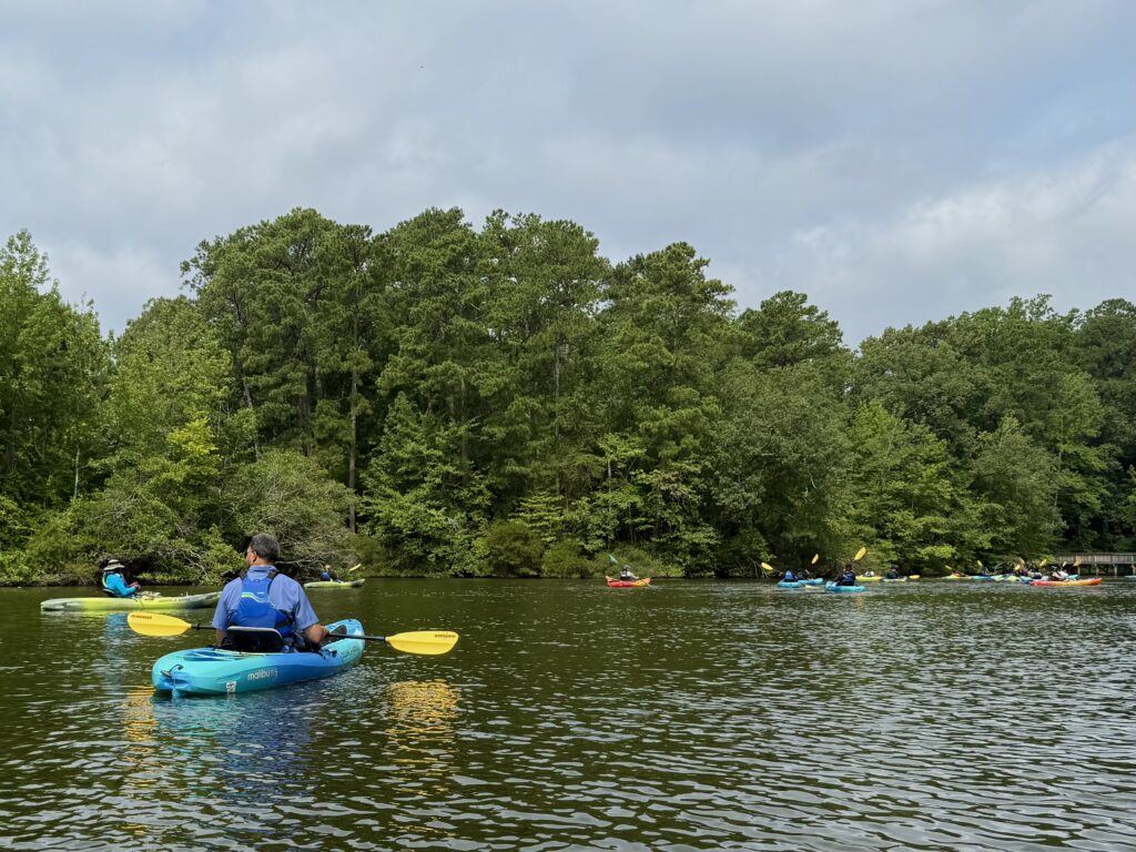 Two adult kayakers floating on Mariners' Lake. In the background, there is a group of kayakers paddling around. Along the shore are trees.