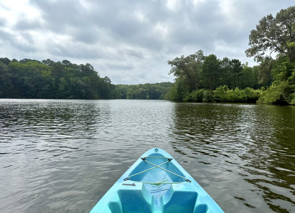 Photo from the kayak showing Mariners' Lake, the nose of the kayak, and the trees along the shore.