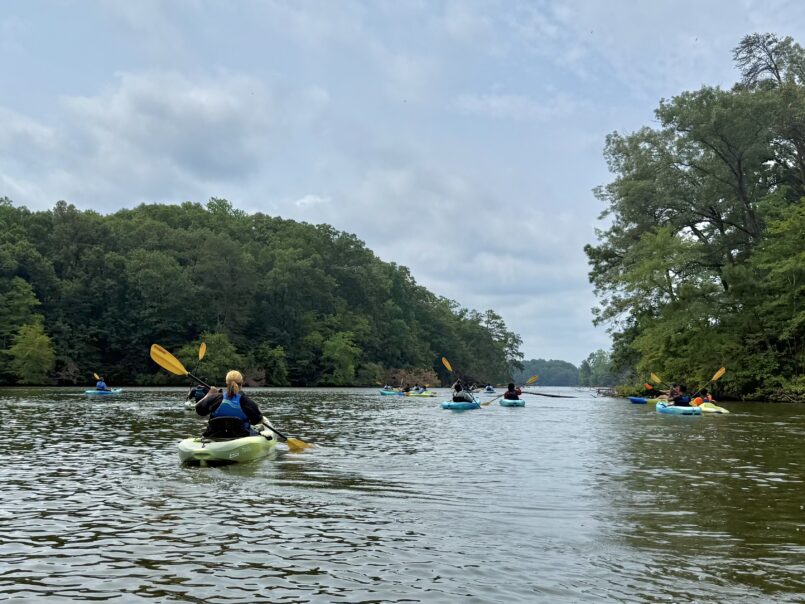 Adults and children kayaking on Mariners' Lake with lifejackets on. The sky is blue and the along the shore are trees.