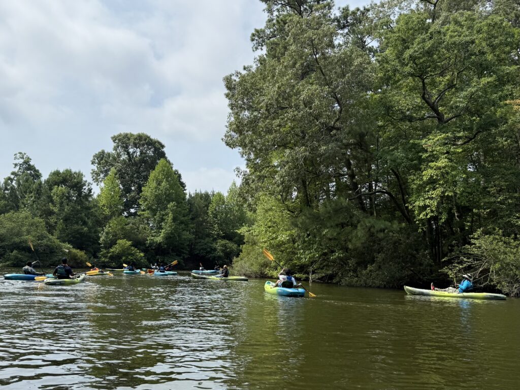Kayakers paddling and floating into a cove. Along the shore are trees.