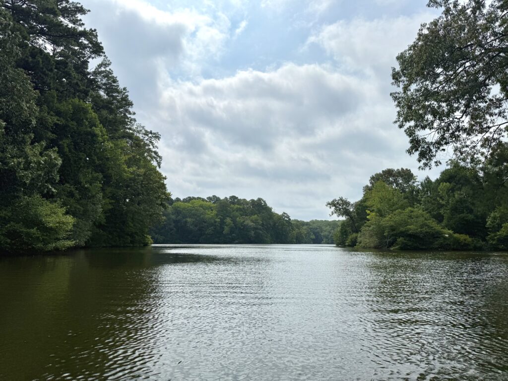 Photo of Mariners' Lake with a blue sky and trees along the shore.