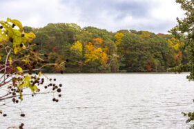 View of Mariners' Lake with fall-colored tress in the background.